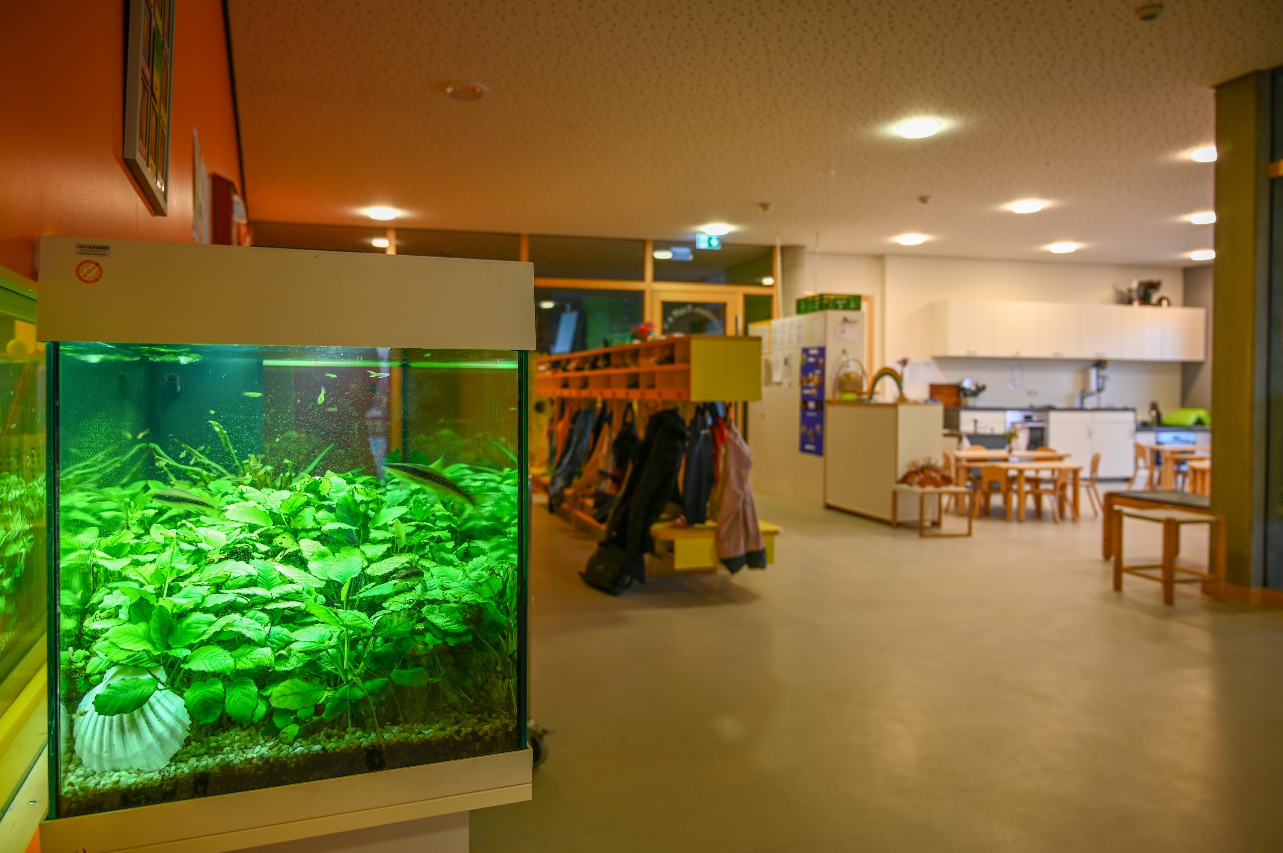 Aquarium & Gardrobe